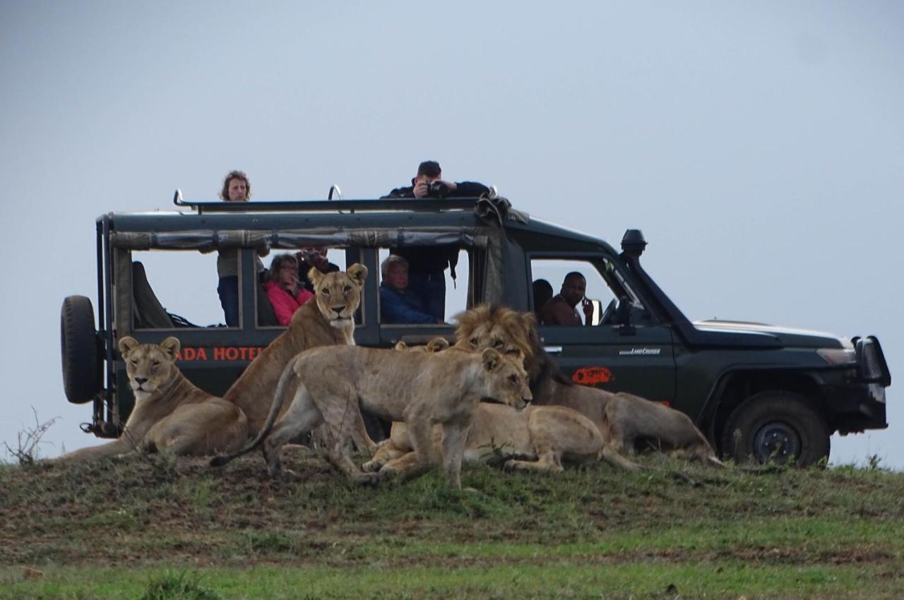 Fig Tree Camp - Maasai Mara Hotel Talek Exterior photo